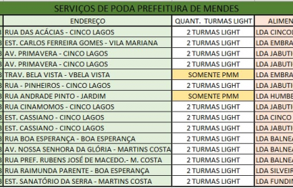 Cronograma de Podas da Light no Município